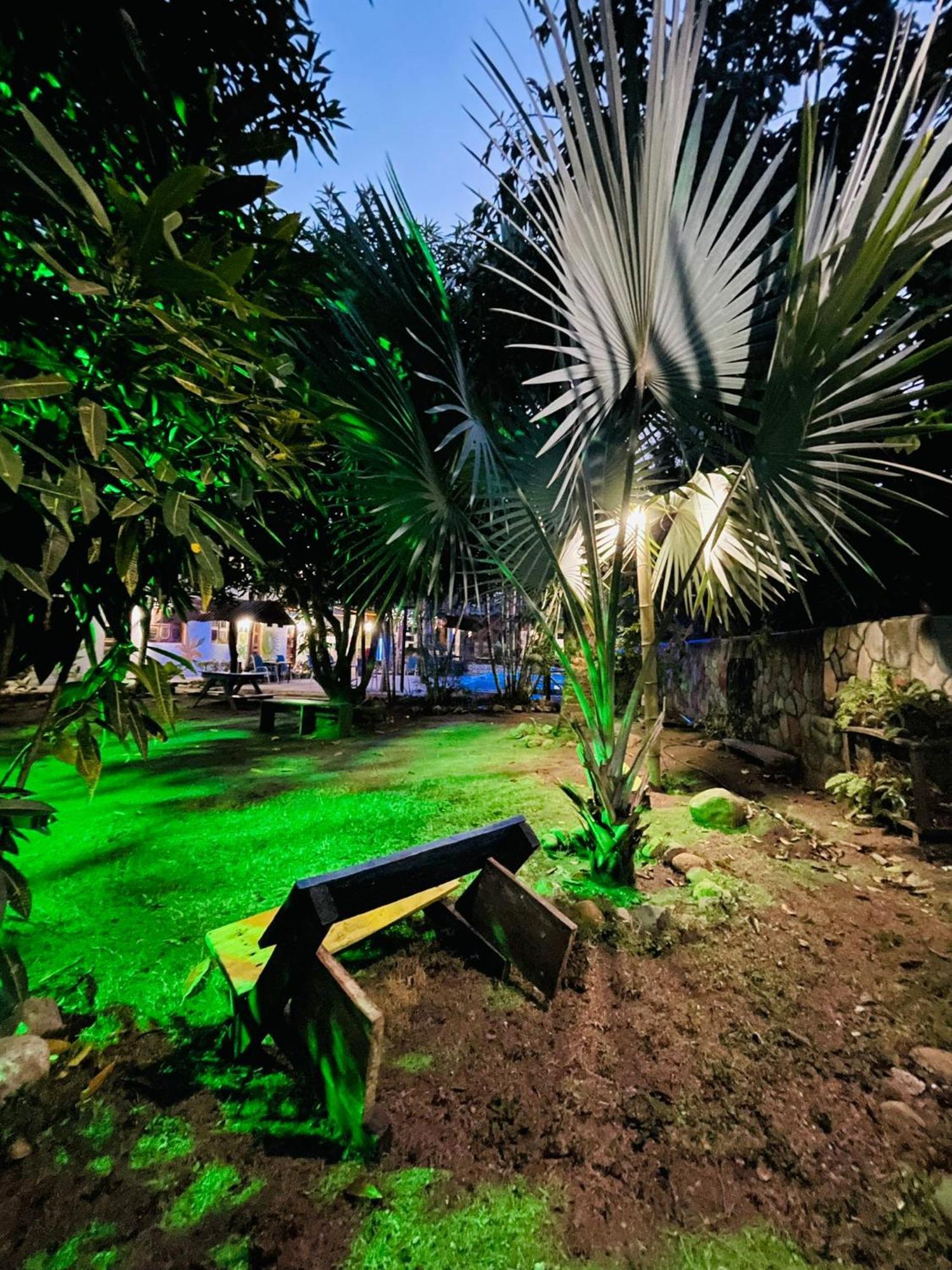 Hostal Luz De Luna Palomino Bagian luar foto