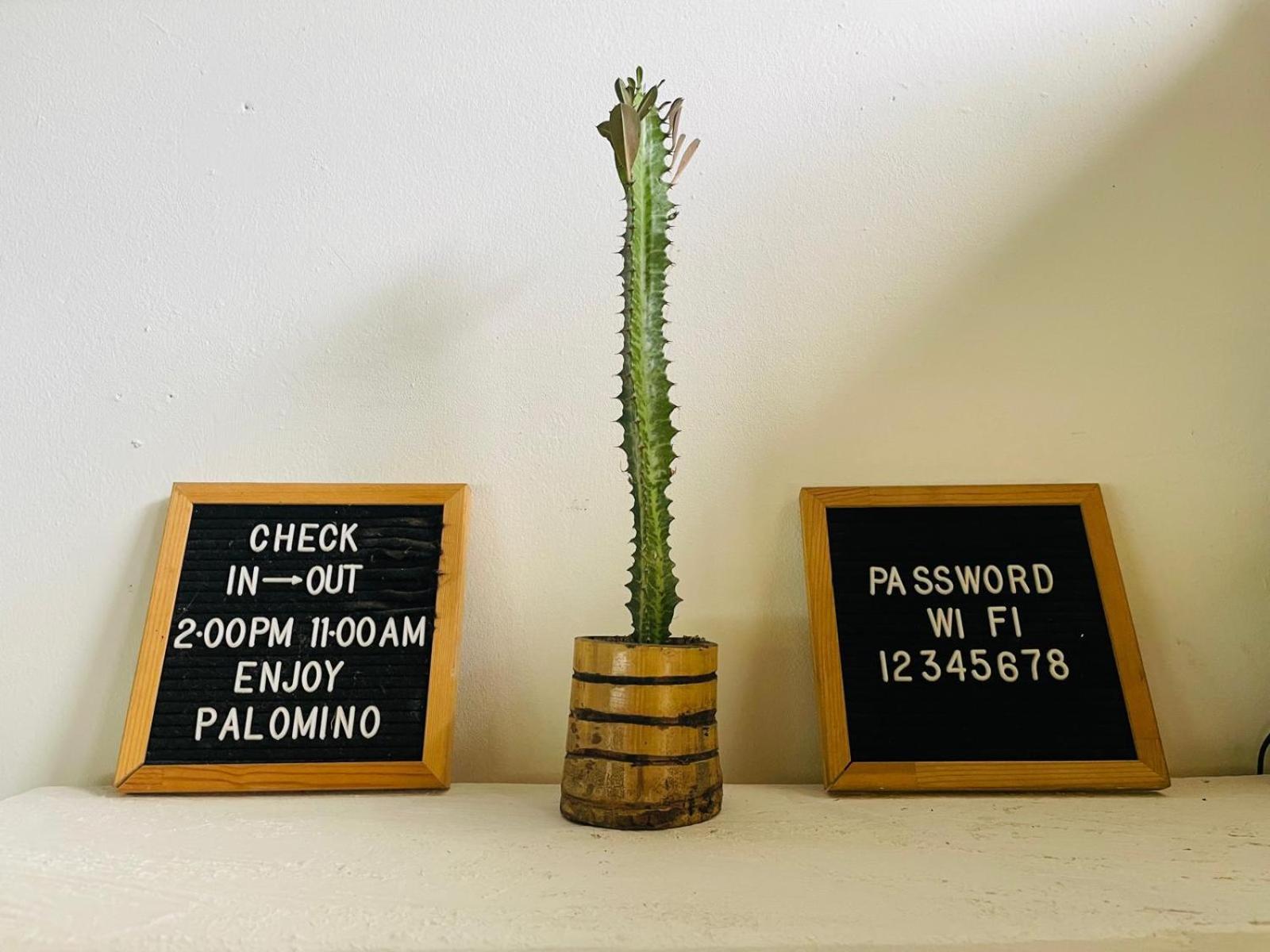 Hostal Luz De Luna Palomino Bagian luar foto