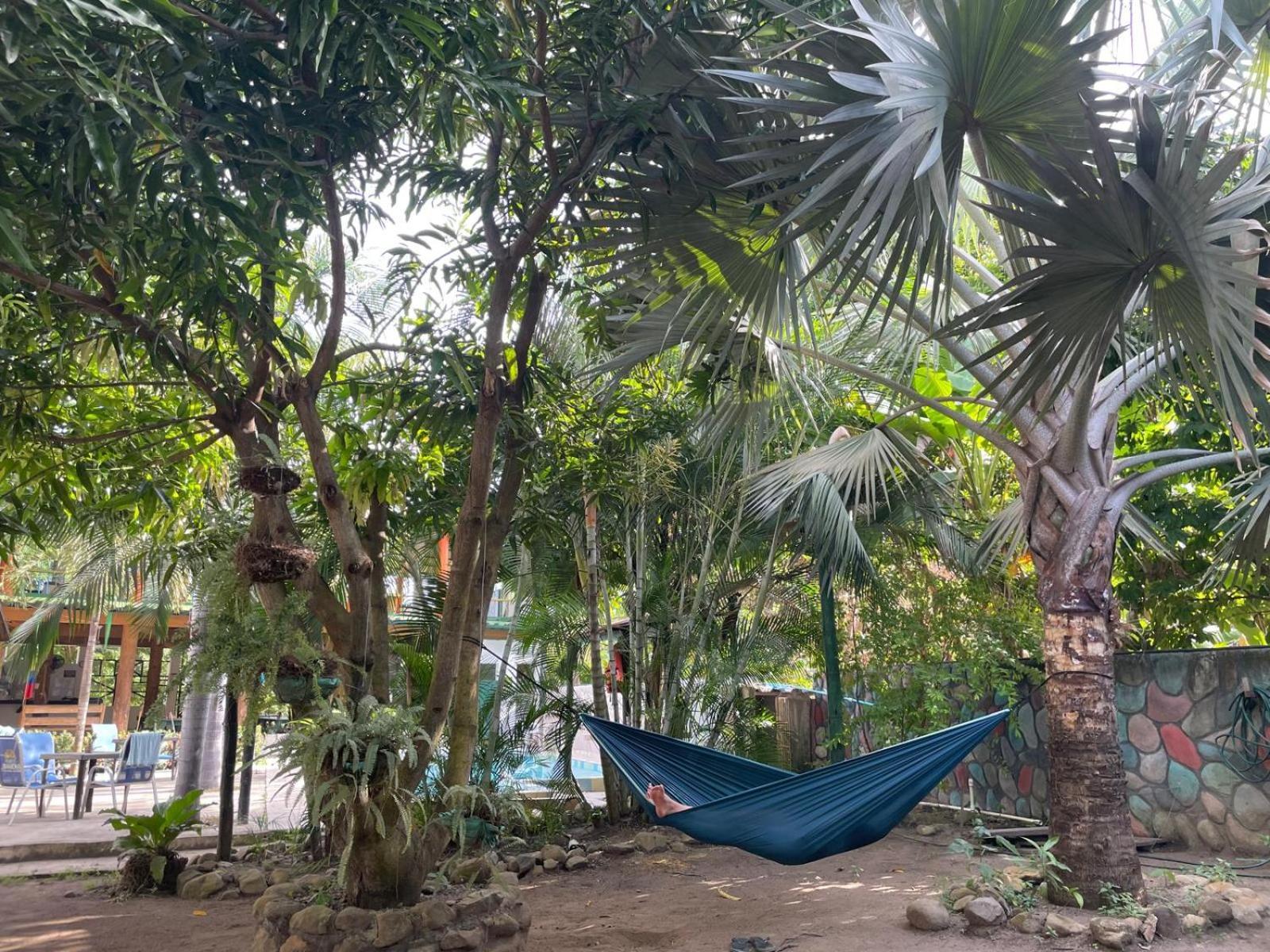 Hostal Luz De Luna Palomino Bagian luar foto